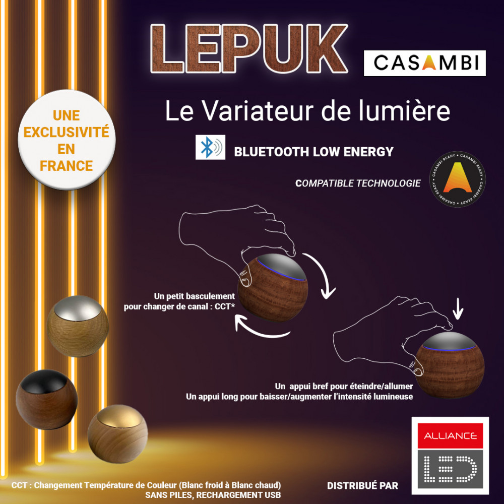 LEPUK CASAMBI